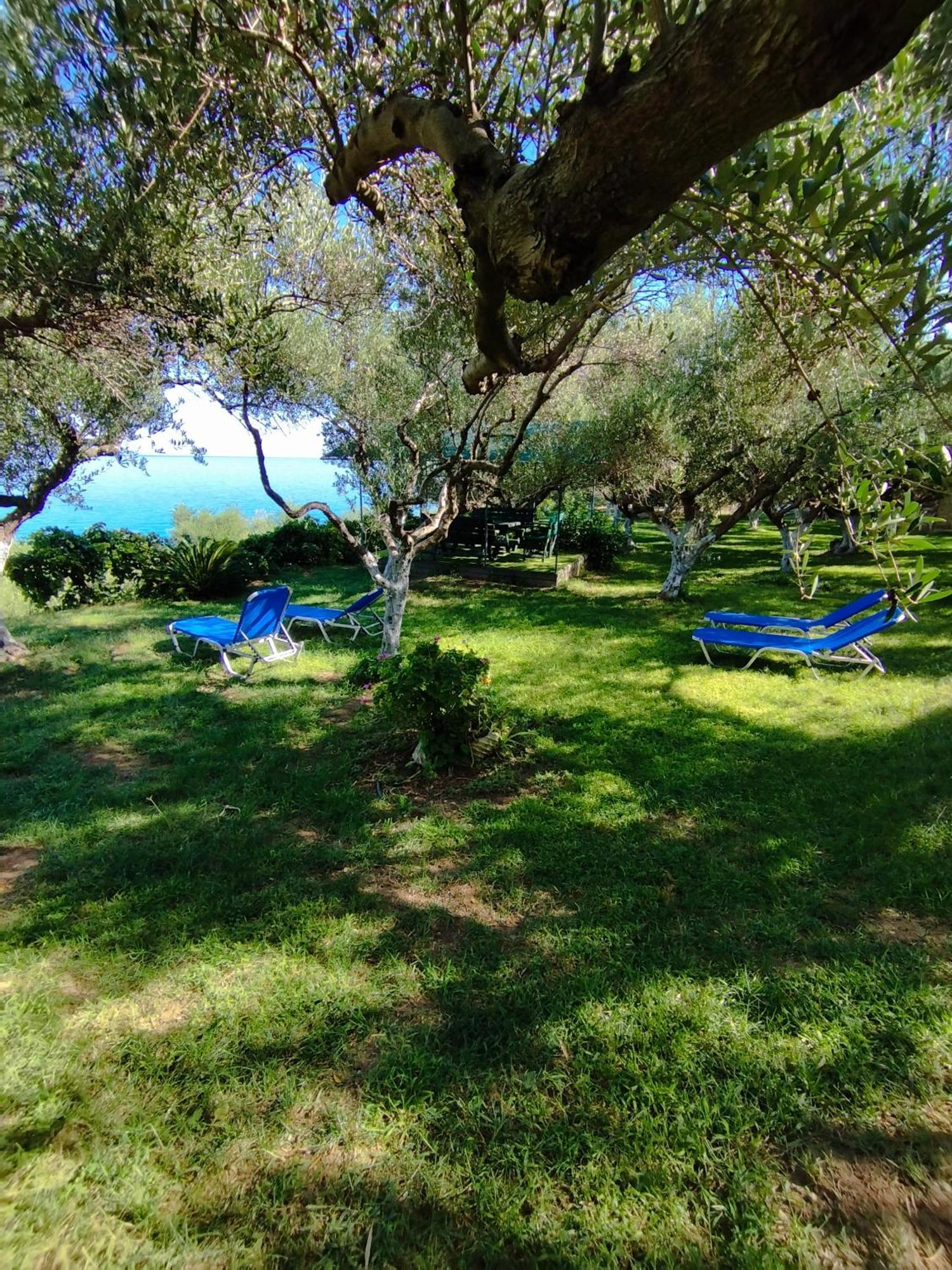 Villa Agia Aikaterini Amoudi Exterior foto